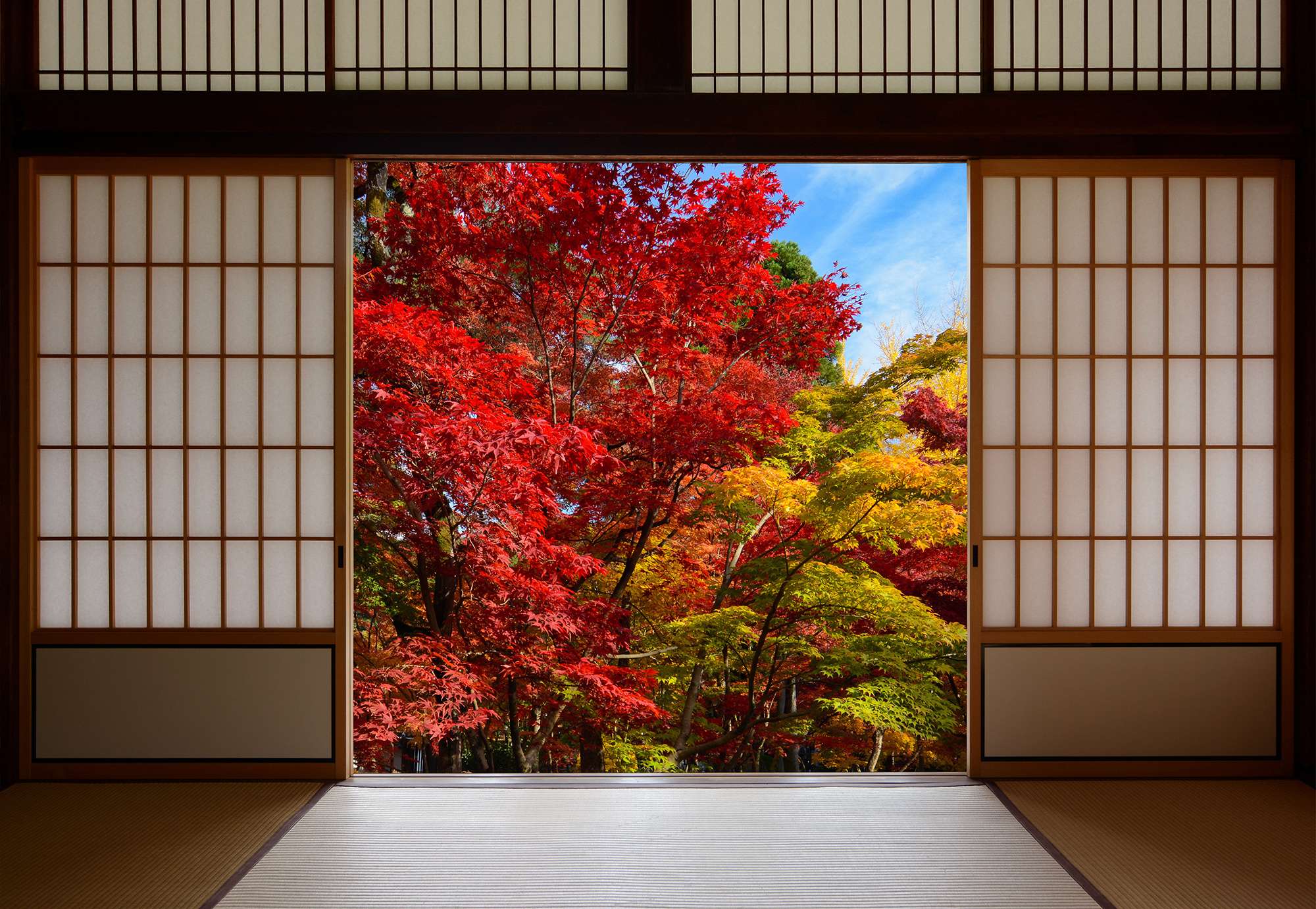 Autumn Colours along Japan's Kumano Kodo Pilgrimage - FULLY BOOKED