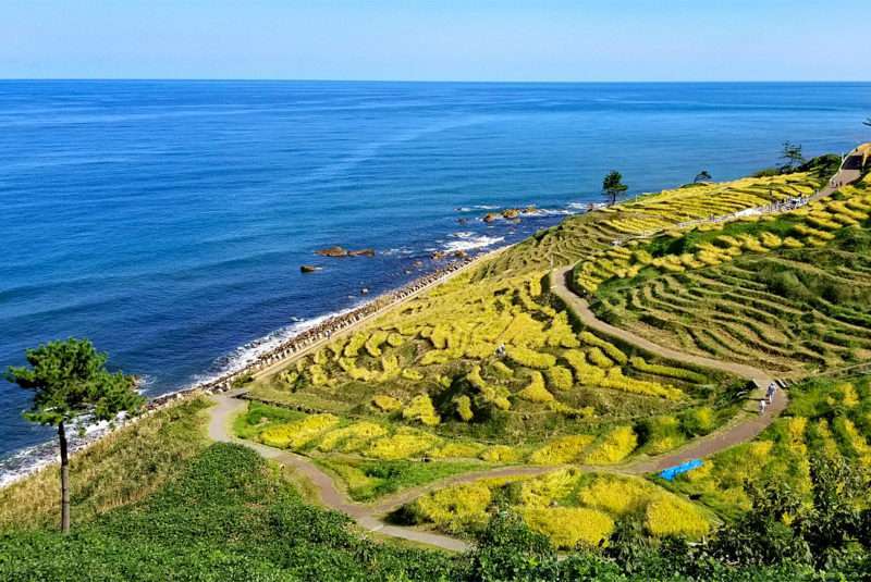 new adventure cycling tours Japan