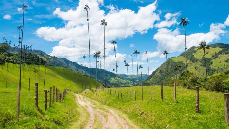 new adventure cycling tours colombia