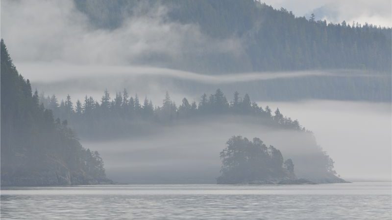 Mist hanging low above a lake in Canada