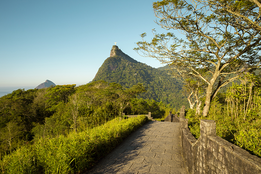 Tijuca Forest