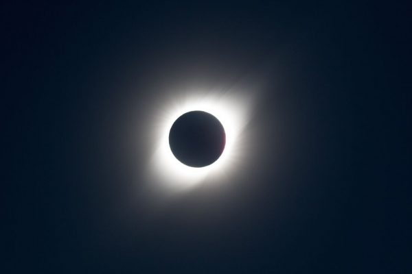 8835391258654.jpg